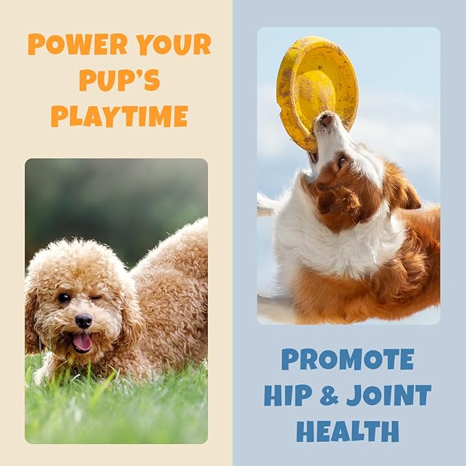 Petipet Dog Allergy Relief Soft & Chewy Chews - Quercetin + Omega 3 - Natural Antihistamine for Itching, Paw Licking, Seasonal and Grass Allergies - for Itchy Skin, Hot Spots, Immune Support