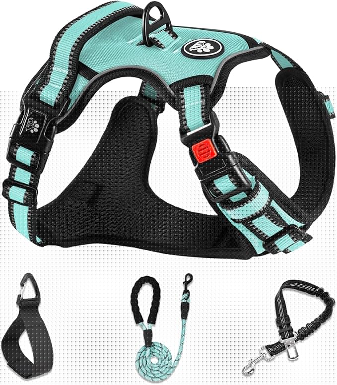 NESTROAD No Pull Dog Harness,Adjustable Oxford Dog Vest Harness with Leash,Reflective No-Choke Pet Harness with Easy Control Soft Handle for Small Dogs(Small,Turquoise)