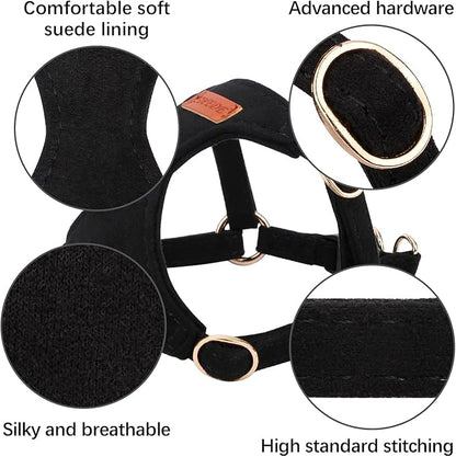 CHEDE No Pull Puppy Harness and Multifunction Dog Leash Set- 8 Colors Soft Adjustable No Choke Escape Proof Cute,Lightweight Pet Vest Harness for Small and Medium Dog (XXS, Black)