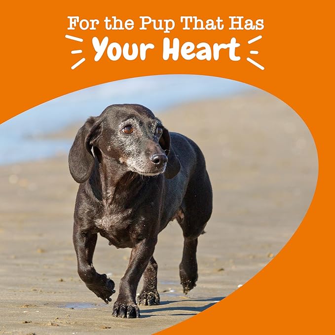 Zesty Paws Cardiovascular Support for Dogs - Taurine for Dogs - with CoQ10, L Carnitine & Sea Buckthorn - Senior Heart Health - AlaskOmega Fish Oil Omega 3 - Senior - Salmon - 90 Count
