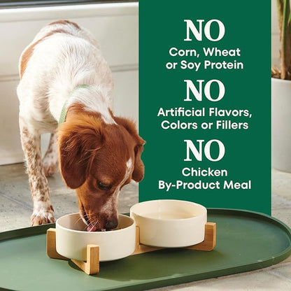 Nutro Natural Choice Adult Small Bites Dog Food, Salmon & Brown Rice Recipe, 4.5 lb. Bag