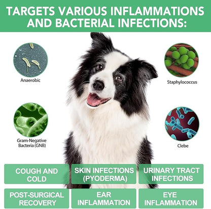 Antibiotics for Dogs, 60ML Natural Antibiotics for Dogs, Dog Antibiotics, Dog Supplies Antibiotics, Dog Multivitamin for Pets, Natural Dog Antibiotics Supports Dog Allergy and Itch Relief