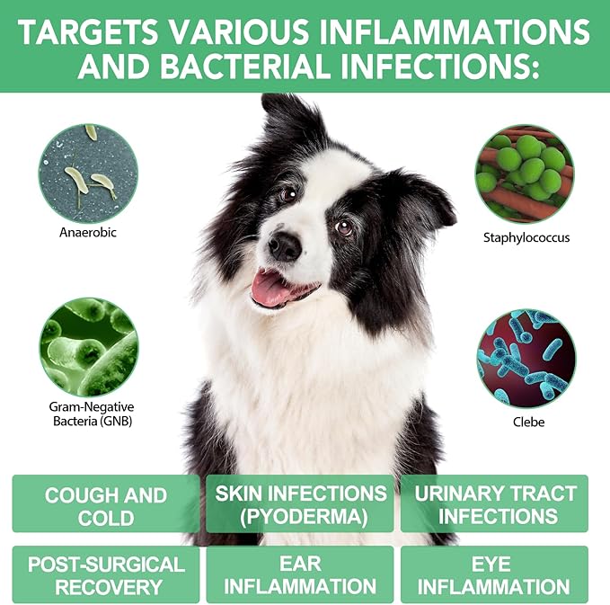 2 Pack Antibiotics for Dogs, Natural Antibiotics for Dogs, Dog Antibiotics, Dog Supplies Antibiotics, Dog Multivitamin for Pets, Natural Dog Antibiotics Supports Dog Allergy and Itch Relief