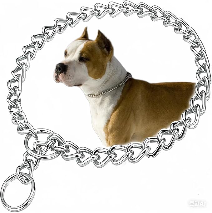 Choke Collar for Dogs, Metal Slip Dog Chain Collar for Puppy Collars for XS Small Medium Large Breed Dogs Boys Girls(Silver, XS
