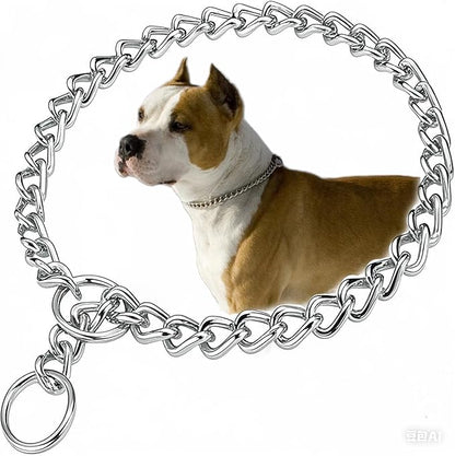 Choke Collar for Dogs, Metal Slip Dog Chain Collar for Puppy Collars for XS Small Medium Large Breed Dogs Boys Girls(Silver, XS