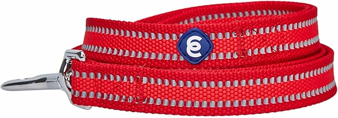 Blueberry Pet Essentials Reflective Back to Basics Matching Dog Harness and Leash Set, Rouge Red, Adjustable Harness with 5 ft Leash for Medium Dogs