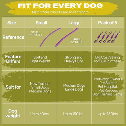 Fida Durable Slip Lead Dog Leash Bulk Pack of 5, Heavy Duty 1/2" x 6 FT Comfortable Strong Rope Slip Lead for Large, Medium Dogs No Pull Pet Training Leash with Highly Reflective, Purple
