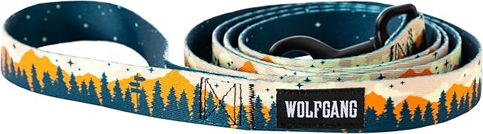 Wolfgang Heavy Duty Dog Leash, Pull-Tested to Over 800 lbs for Walking & Training, Overland Print, Large