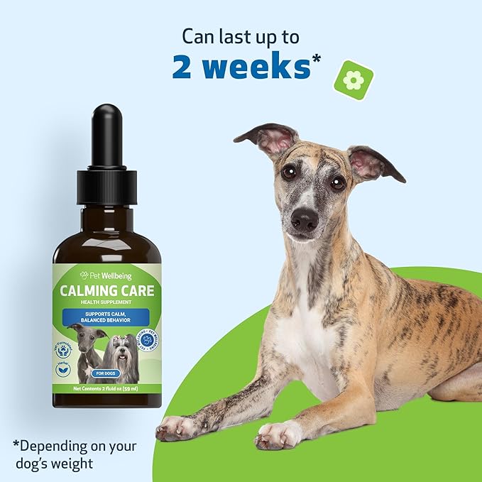 Pet Wellbeing Calming Care for Dogs - Vet-Formulated Holistic Behavior Support - Emotional Balance, Stress Care - Ashwagandha & Holy Basil Adaptogen Blend - Liquid Supplement 2 oz (59ml)