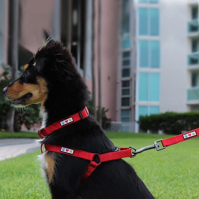 Pawtitas Value Bundle Set | Large Dog Harness + Large Dog Collar – Blue Set