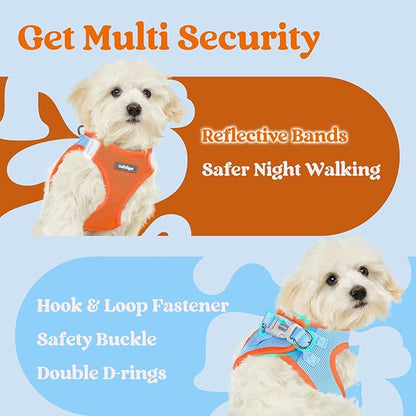 rabbitgoo Small Dog Harness, Step-in Soft Mesh Puppy Vest with Safety Buckle, Breathable Reflective Pet Harness for Small Sized Dogs, Blue & Orange S