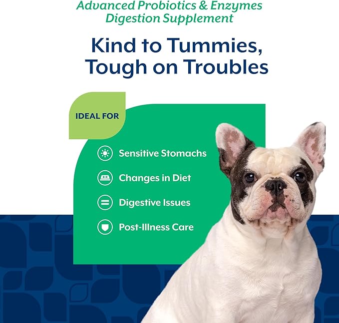 NaturVet Advanced Probiotics & Enzymes, PB6 Dog Soft Chews to Help Sensitive Stomachs and Digestive Issues, Hickory Smoked Bacon Flavored Pet Supplement for Dogs Over 6 Weeks, 240 Count Jar