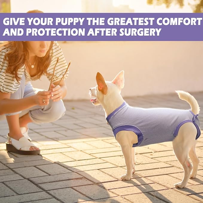 Dog Surgery Recovery Suit for Male Female, Spay Neuter Cone Alternative Surgical Onesie, Purple, X-Small