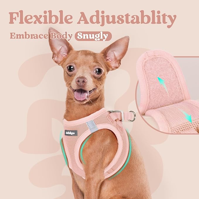 rabbitgoo Small Dog Harness, Step-in Soft Mesh Puppy Vest with Safety Buckle, Breathable Reflective Pet Harness for Small Medium Dogs, Pink L
