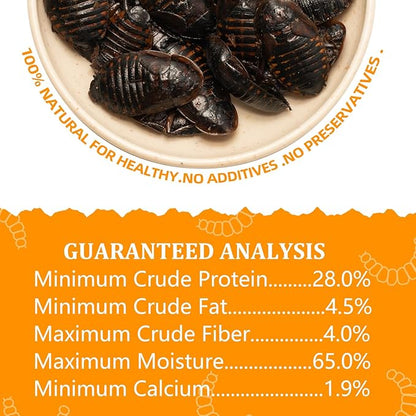 6 Pack Canned Dubia Roaches for Reptiles, Birds and Small Animals, Dubia Roaches, Healthy High Protein Treat, Reptile Food 7.2 Ounces Total