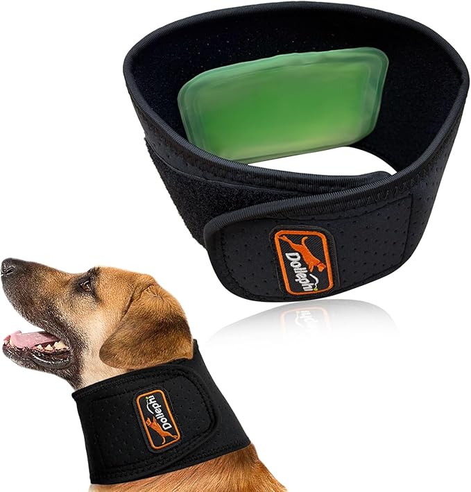 Dog Neck Brace with Hot/Cold Compress, Cervical Spine Support Collar for Dogs with IVDD, Neck Pain, Injury & Post-Surgery Recovery(M)