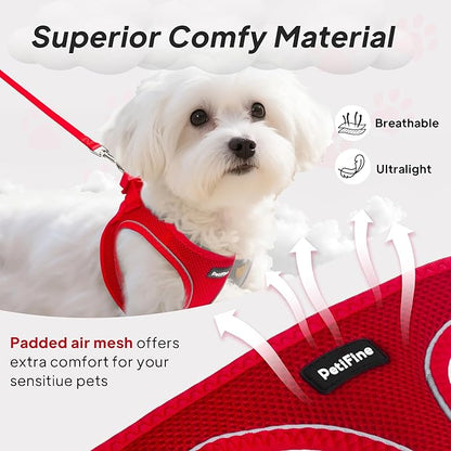 PetiFine Step in Small Dog Harness and Leash Set, Breathable All Weather Air Mesh Reflective Escape Proof, Step-in Vest Harnesses for Puppy(XS, Red)