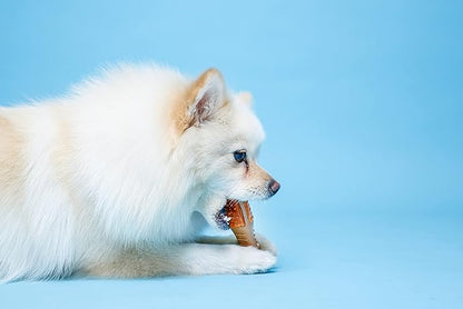 Hartz Chew ‘n Clean Chew Toy and Treat in One Chicken Flavored Drumstick Dog Toy, Small