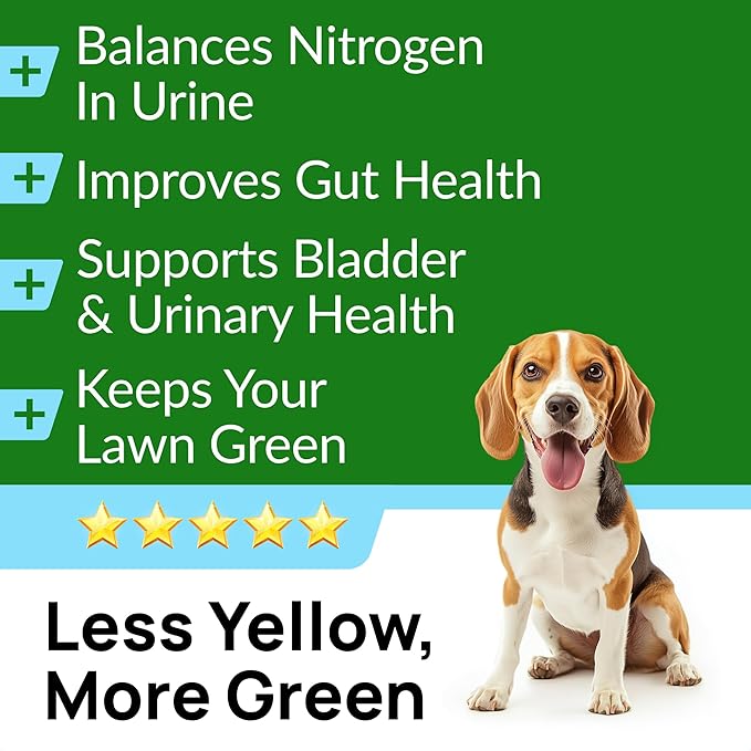 PAWFECTCHEW Green Grass Dog Chews w/Probiotics - Prevent Urine Burning Grass - Dog Pee Grass Spot Saver - Dog Urine Neutralizer for Lawn Treats, UT & Gut Health for Dogs, Lawn Burn from Dog Urine