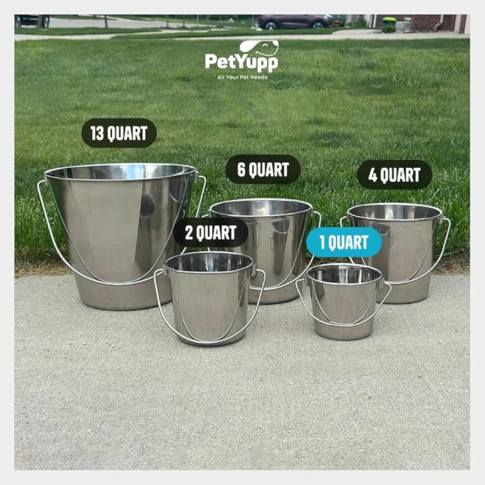Heavy Duty Stainless Steel Bucket 1 Quart - Flat Side Small Metal Bucket for Feeding & Watering Pets, Livestock & Cleaning - Perfect for Crates, Kennels, Cages & Hang on Fences