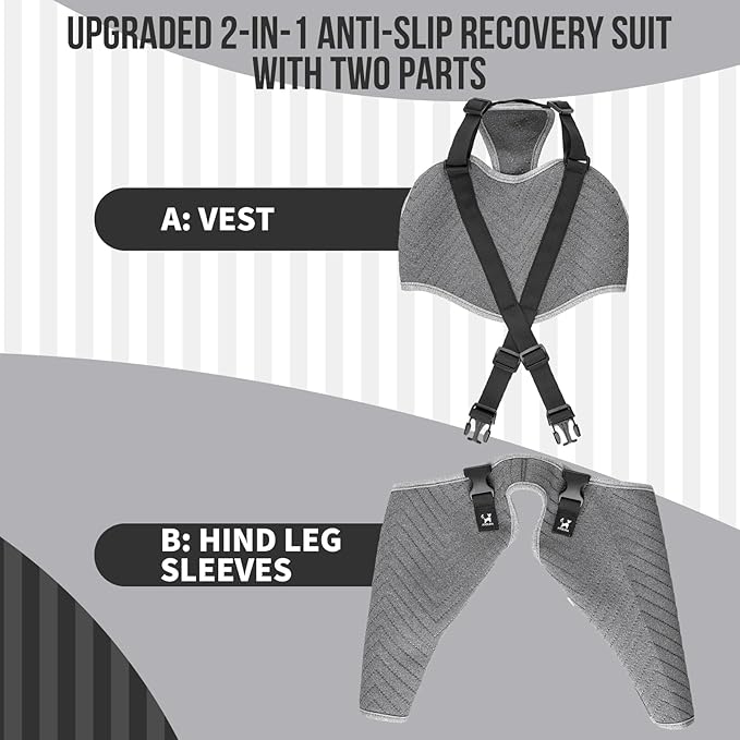 Arblina Dog Recovery Sleeve for Hind Leg, Adjustable Buckled Rear Leg Sleeve to Prevent Licking Wounds for Medium Large Dogs After Surgery, Thick Leg Sleeve as Cone Collar Alternative, L