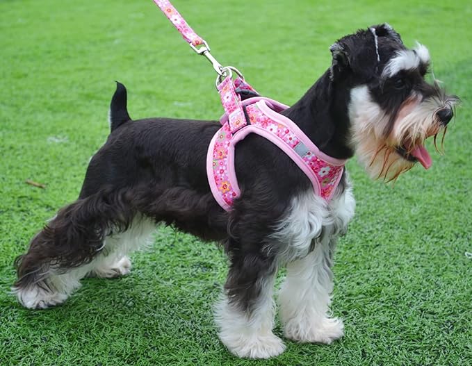 Moonpet Step in Dog Harness Leash Set- All Weather Reflective No-Pull Floral Pattern Padded Mesh Vest Harness for Cats Puppy Extra-Small Small Medium Large Dogs - Pink Flower - S