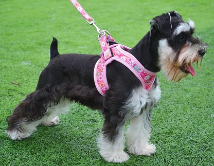 Moonpet Step in Dog Harness Leash Set- All Weather Reflective No-Pull Floral Pattern Padded Mesh Vest Harness for Cats Puppy Extra-Small Small Medium Large Dogs - Pink Flower - S