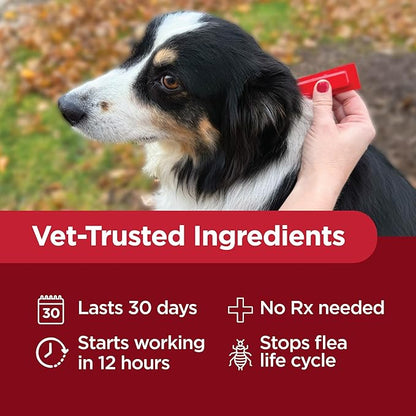 TevraPet Activate II Flea and Tick Prevention for Dogs, Large Dogs 21-55 lbs, Topical Drops, 4 Month Flea and Tick Treatment