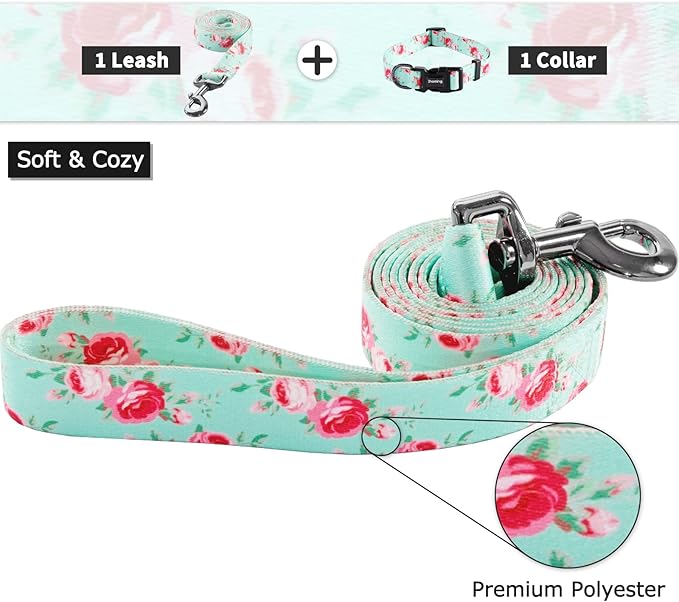 Ihoming Puppy Collar and Leash Set for Daily Outdoor Walking Running Training, Floral Spring Design for Extra Small Boys Girls Dogs Cats Pets, XS-Up to 10LBS