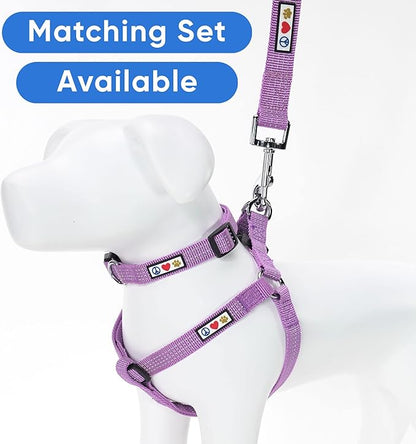 Pawtitas Orchid Dog Leash 6 ft M/L Reflective Durable Lightweight Dog Lead for Medium or Large Dogs and Puppies