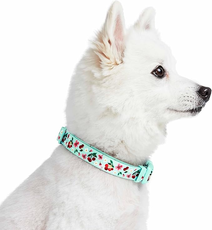 Cherry Garden Dog Collar with Dainty Flowers