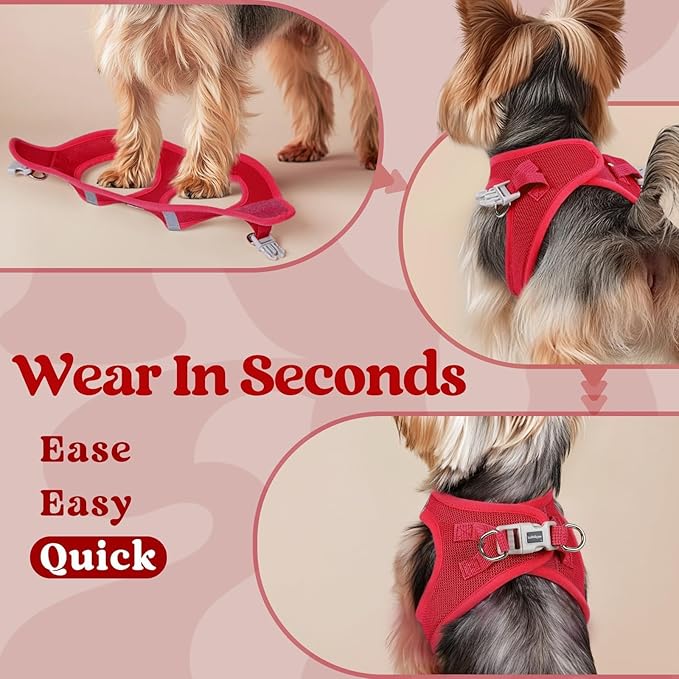 rabbitgoo Small Dog Harness, Step-in Soft Mesh Puppy Vest with Safety Buckle, Breathable Reflective Pet Harness for Extra Small Dogs, Red XXXS