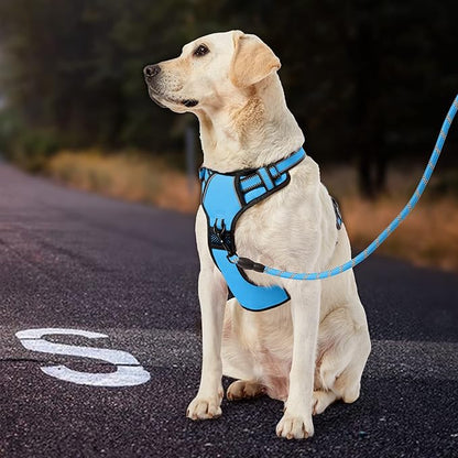 IVY&LANE No Pull Dog Harness for Small Dogs, Dog Vest Harness with Leash, Safety Belt and Storage Strap, Fully Adjustable Harness, 360° Reflective Strip, Soft Handle (Blue, XS)