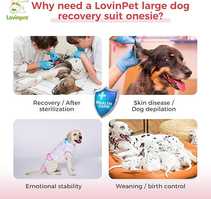 LovinPet Dog Surgical Recovery Suit Male - After Surgery Onesie for Dogs Female & Male Anti-Licking Protection Full Body Coverage for Anti-Shedding