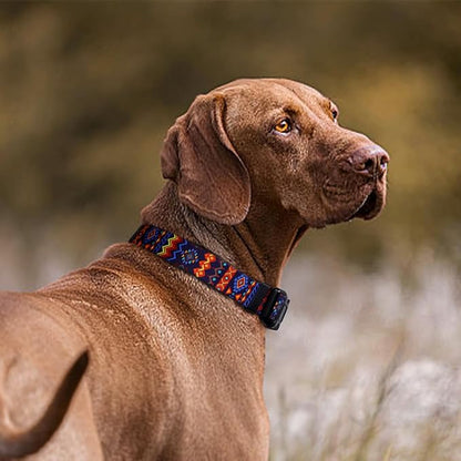 QQPETS Adjustable Soft Dog Collar: Print Flower Pink Multicolor Cute Patterns for XS Small Medium Large Pet Girl Boy Puppy Walking Running Training