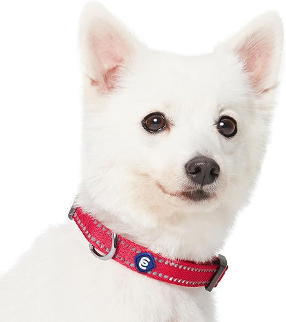 Blueberry Pet Essentials Reflective Dog Collar & Leash Set, Adjustable for Small Dogs | Safe Walking Gear for Pet Parents, Puppy Training & Daily Use SmallDogs, Very Berry