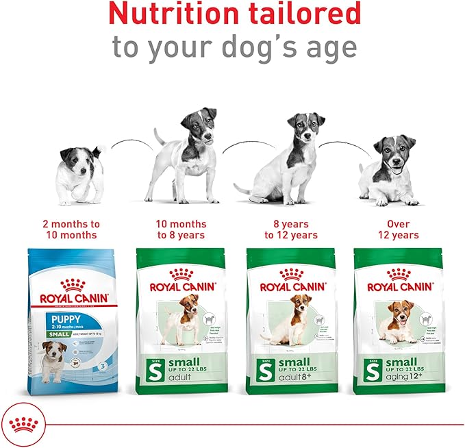 Royal Canin Size Health Nutrition Small Adult Dry Dog Food, 30 lb Bag
