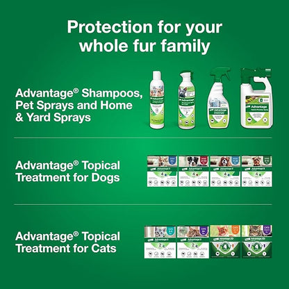 Advantage Cat Flea Treatment Spray | Kills Fleas & Ticks | Cat Flea Spray | 8 oz.