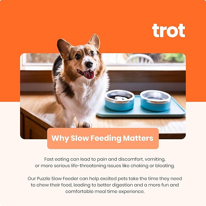 Trot Pets Premium Dog Bowls | Stainless Steel Bowl Set for Small, Medium, or Large Dogs | Non-Slip Food and & Water Slow Feeder | Durable, BPA-Free, Anti-Skid, Dishwasher Safe (Slate, Small)
