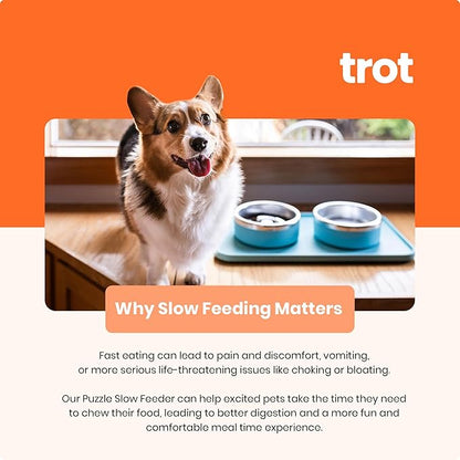 Trot Pets Premium Dog Bowls | Stainless Steel Bowl Set for Small, Medium, or Large Dogs | Non-Slip Food and & Water Slow Feeder | Durable, BPA-Free, Anti-Skid, Dishwasher Safe (Slate, Small)