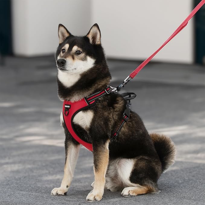 Voyager Dog Harness Dual Leash Attachment No-Pull Control Adjustable Soft but Strong Pet Harness for Medium and Large Dogs with 3M Reflective Technology, Leash Set Red Nylon, S (Chest: 16-20")
