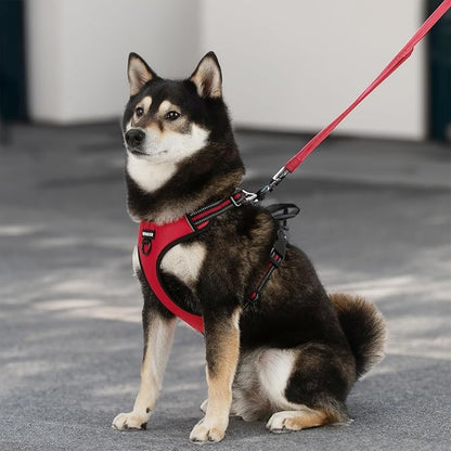 Voyager Dog Harness Dual Leash Attachment No-Pull Control Adjustable Soft but Strong Pet Harness for Medium and Large Dogs with 3M Reflective Technology, Red Lattice Nylon, XS (Chest: 13-16")