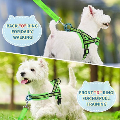 Lukovee No Pull Dog Harness and Leash Set, Soft Padded Small Dog Harness, Neck & Chest Adjustable Reflective Vest Puppy Harness with 4ft Lightweight Anti-Twist Dog Leash for Small Dogs (S, Green)