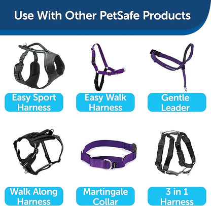 PetSafe Nylon Leash - Helps Maintain Secure Connection on Walks - Durable Pet Leash with Easy Clip - 1 in. x 6 ft. - Deep Purple