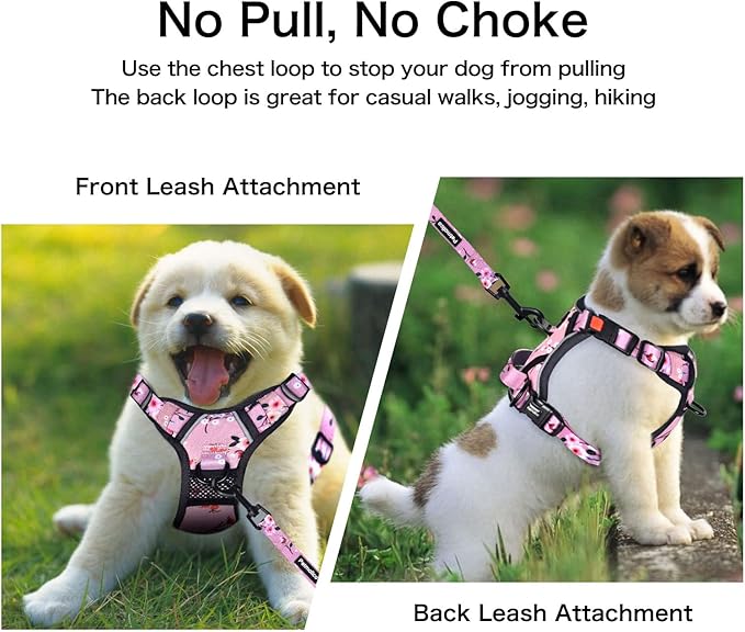 Petmolico Medium Dog Harness and Leash Set, No Choke 4 Leash Attachments Easy Control Handle Soft Padded Reflective Vest Dog Harness, Pink Plum