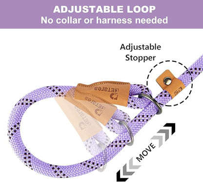 5 FT Slip Lead Dog Leash, Heavy Duty Rope Leash for Small Medium Large Dogs, No Pull Training Lead with Reflective Thread, Strong Comfortable Loop Leash (Lavender Stripe, Large(1/2"))