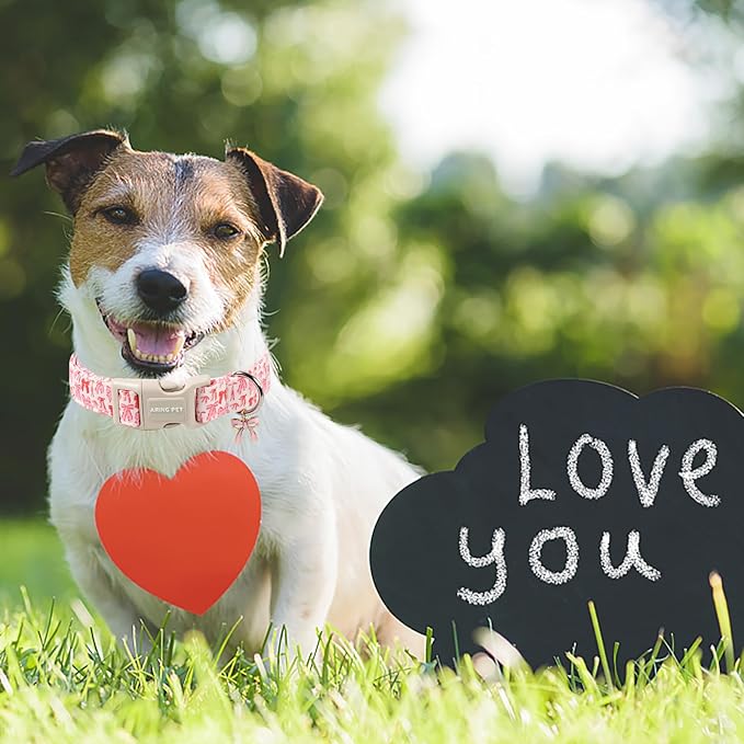 ARING PET Girl Dog Collar, Cute Spring Summer Pink Bow Puppy Pet Collars Necklace for Small Medium Large Female Dogs-M