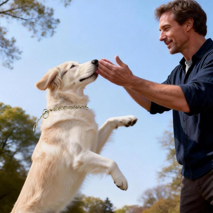 Chain Choke Collar for Dogs, Metal Choke Link Dog Collar Choker Training Heavy Duty Slip Martingale Puppy Collars for XS Small Medium Large Big XL Breed Dogs (Gold, L(Neck Max 20inch) D3.5mm)