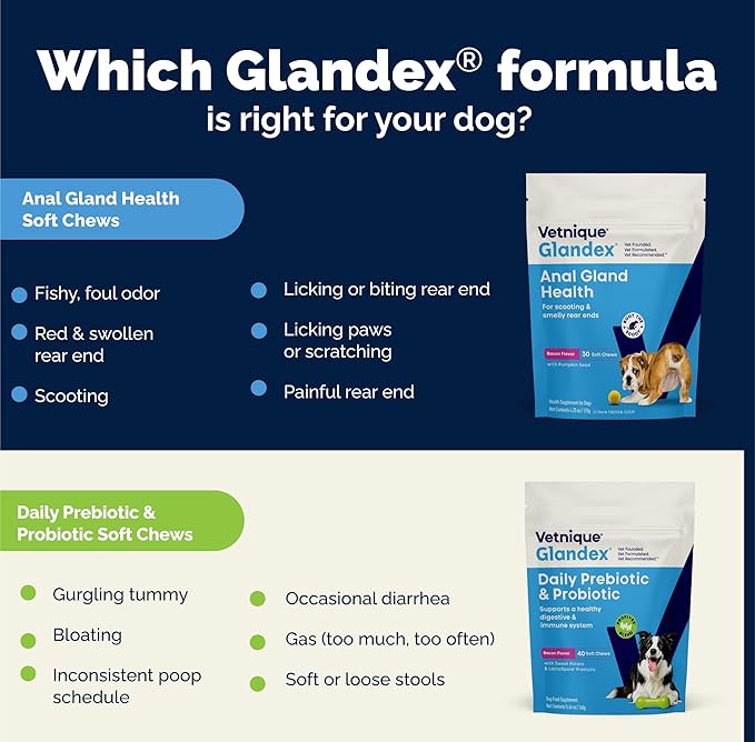 Vetnique Glandex Daily Probiotics for Dogs with Prebiotics to Support Gut Health, Diarrhea with Fiber and Digestive Enzymes, Dog Probiotic Powder (4.25oz Powder, Pork Powder)