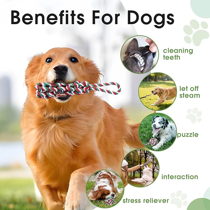 HOPET Bungee Tether Tug Outdoor Dog Toy with Stake,Tug of War Dog Toy for Aggressive Chewers to Keep Them Busy,Outdoor Interactive Dog Rope Toy for Medium/Small Dogs,Can Used On Lawns,Trees and Doors